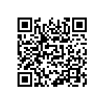 510-87-065-10-051101 QRCode