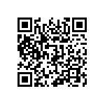 510-87-101-13-061101 QRCode