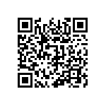 510-87-132-13-001101 QRCode