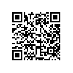 510-87-133-13-041101 QRCode