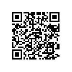 51740-10602405AA QRCode