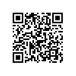 520C143T400FG2D QRCode