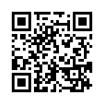 54101-G32-04 QRCode