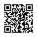 54101-T06-00 QRCode