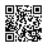 54101-T08-03 QRCode