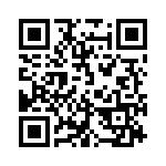 55P QRCode