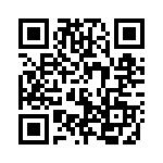 591SC-BDG QRCode