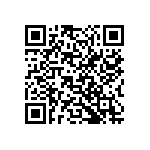 609176002021099 QRCode