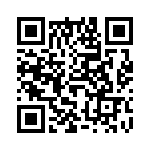 61304421121 QRCode