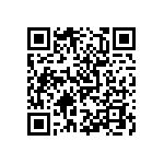 636L3C028M63636 QRCode