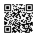 653E13303C3T QRCode