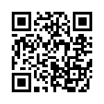 653P13305I3T QRCode