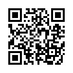 653P17336A2T QRCode