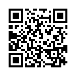 653P17505I3T QRCode