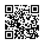 653P4005I2T QRCode