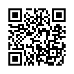 653P8006A3T QRCode