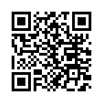 691304130006 QRCode