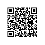 6STF09PAM03B40X QRCode