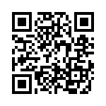 8-1393818-8 QRCode