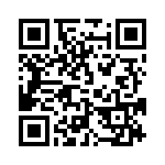 81100-500303 QRCode