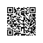 812-22-013-30-000101 QRCode