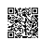 813-22-028-30-001101 QRCode