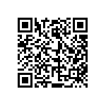 813-22-036-30-000101 QRCode