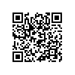 813-SS-006-30-004101 QRCode