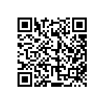 813-SS-010-30-004101 QRCode