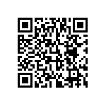 813-SS-012-30-004101 QRCode