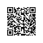 813-SS-012-30-006101 QRCode