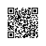 821-22-053-10-001101 QRCode