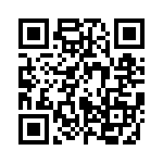 85-190224-07P QRCode