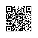 853-87-062-30-002101 QRCode