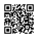 913A704A QRCode