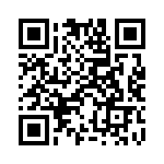 929550-01-33-I QRCode