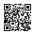 93 QRCode