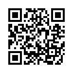 93939-412HLF QRCode