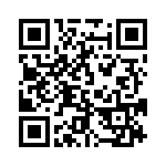 95278-101T10 QRCode