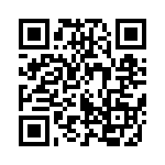 95653-128HLF QRCode