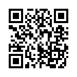 95C06E4GWRT QRCode