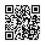 95CW06D3JRT QRCode