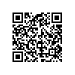 961128-6300-AR-PT QRCode