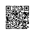 97-3106B22-20SY-417-940 QRCode