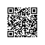 97-3106B24-11SW-417 QRCode