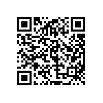 97-3107B24-11SZ-417 QRCode