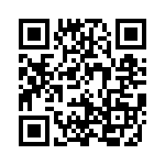 999-19-210-06 QRCode