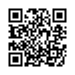 9B16000381 QRCode