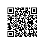 9R9500-01-17-RK QRCode