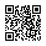 A20310907 QRCode